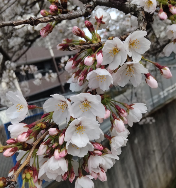 obraz_2025-11-07_115542335